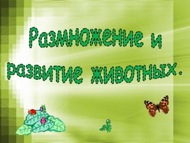 Размножение и развитие животных