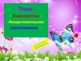 Обложка для материала Презентация по окружающему миру.Тема6"Знакомство с разными видами лекарственных растений. Чем они полезны?"