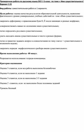 Проверочная работа по русскому языку ОО 5  Б класс  по теме « Имя существительное»( Вариант 2.2)