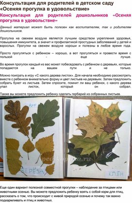 Консультация для родителей в детском саду «Осеняя прогулка в удовольствие»