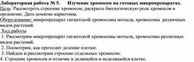 Обложка для материала Лабораторная работа № 5.      Изучение хромосом на готовых микропрепаратах.