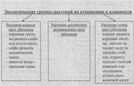 Материал к урокам  биологии