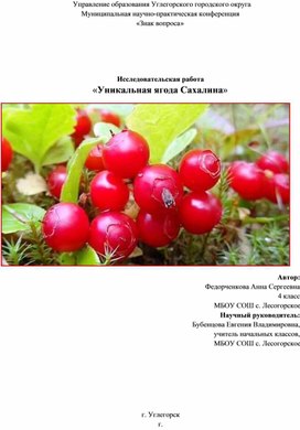 Исследовательская работа "Уникальная ягода Сахалина"