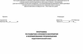 Обложка для материала Программа по РСВ и ФП подготовительного класса