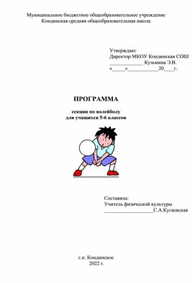 Программа внеурочной деятельности спортивно-оздоровительного направления "Волейбол"