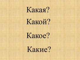 Урок русского языка  Имя прилагательное. Презентация