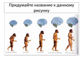 Эволюция первобытного человека