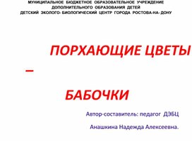 Презентация "Порхающие цветы - бабочки" к занятию "Вывязывание бабочки"