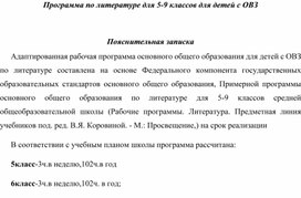 Программа по русскому языку для 5-9 классов -ЗПР