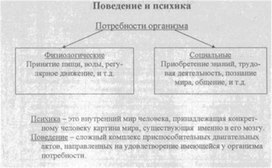 Материал к урокам  биологии