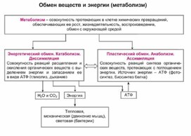 Обложка для материала Биология в таблицах