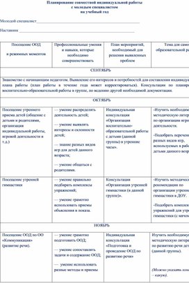 Обложка для материала Планирование совместной индивидуальной работы  с молодым специалистом