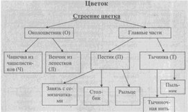 Материал к урокам  биологии