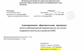 Обложка для материала Адаптированная образовательная программа групп комбинированной направленности для детей с ЗПР