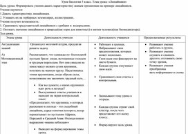 Урок биологии 5 класс. Тема урока: «Лишайники»