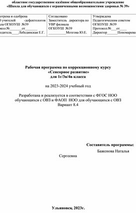 Рабочая программа "Сенсорное развитие"  для детей с РАС.