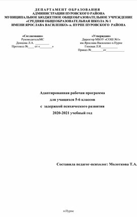 Адаптированная рабочая программа с детьми с ЗПР