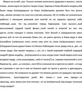 Обложка для материала Комплексный диктант для 11 класса по русскому языку.
