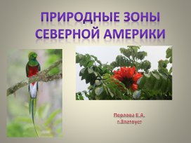 Презентация по географии "Природные зоны Северной Америки"