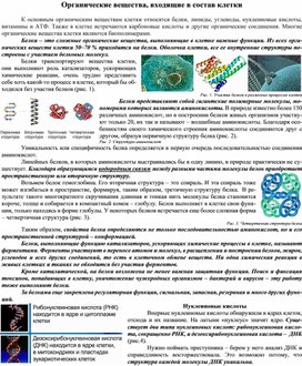 Органические вещества, входящие в состав клетки.