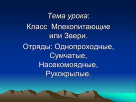 Урок на тему «Класс Млекопитающие. Общая характеристика»