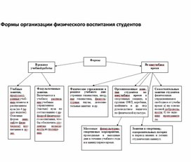 Обложка для материала Формы организации физического воспитания студентов