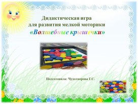 Обложка для материала Дидактическая игра  для развития мелкой моторики  «Волшебные крышечки»