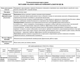 Обложка для материала Технологическая карта урока. Метание малого мяча в горизонтальную цель.