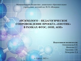 «Психолого-педагогическое сопровождение проекта «Енотик» в работе с детьми с ОВЗ»