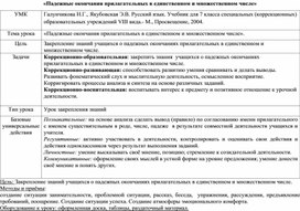 Тема: "Правописание падежных окончаний имен существительных».