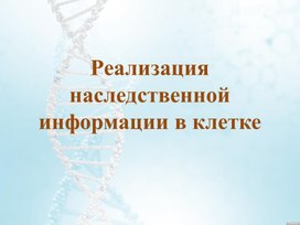 Реализация наследственной информации в клетке.