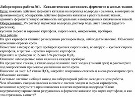 Обложка для материала Лабораторная работа №1.   Каталитическая активность ферментов в живых тканях