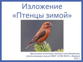 Изложение на тему: "Птенцы зимой" (презентация по русскому языку во 2 классе)
