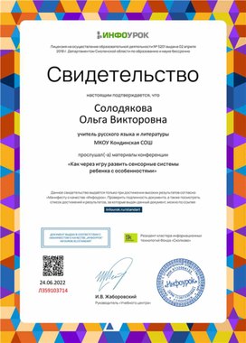 Обложка для материала Свидетельство "Как через игру развивать сенсорные системы ребенка"