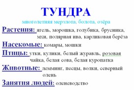 Обложка для материала Окружающий мир для начальных классов_схема_29