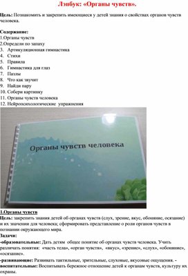 Обложка для материала Лэпбук: «Органы чувств».