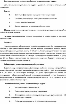 Занятие в школьном лесничестве «Осенняя посадка саженцев кедра»