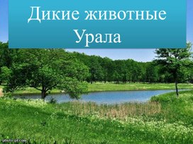 Презентация к уроку "Окружающий мир" "Дикие животные Урала"