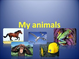 1 класс презентация my animals