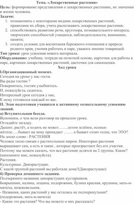 Открытый урок "Лекарственные растения" 6 класс