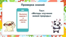 Обложка для материала биология 5 класс 8 урок описание результатов исследования