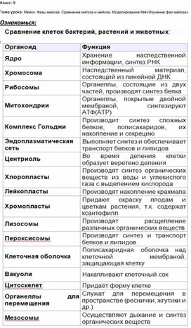 Мейоз. Фазы мейоза. Сравнение митоза и мейоза. Моделирование №4«Изучение фаз мейоза».