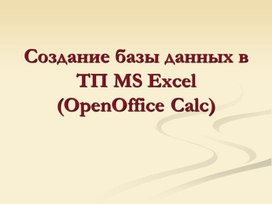 Обложка для материала Создание базы данных в ТП MS Excel (OpenOffice Calc)