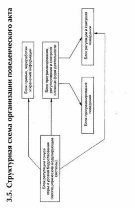 Обложка для материала материал по психофизиологии