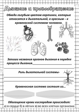 Обложка для материала Рабочий лист к уроку окружающего мира по теме "Дыхание и кровообращение", 3 класс, УМК "Школа России"