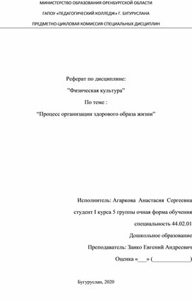 Процесс организации здорового образа жизни