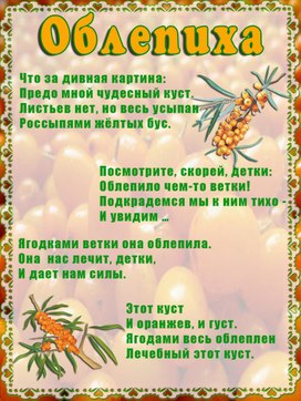 Обложка для материала облепиха