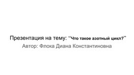 Презентация на тему: “Что такое азотный цикл?”