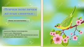 Презентация:"Птички невелички-жёлтые синички"