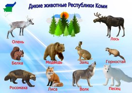 Плакат "Дикие животные Коми Республики"